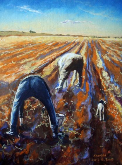 Working the Field