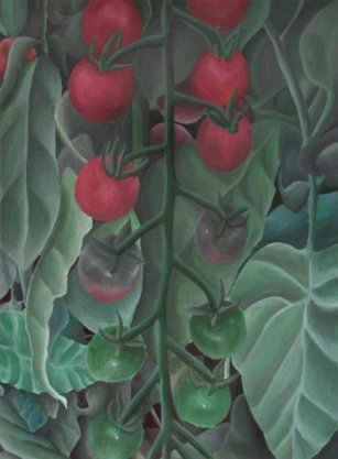 Tomato Plant
