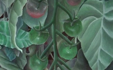 Detail of Tomato Plant