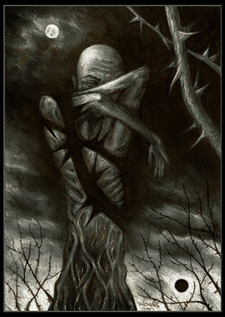 Between the Thorns