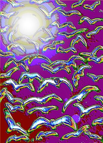 Birds
