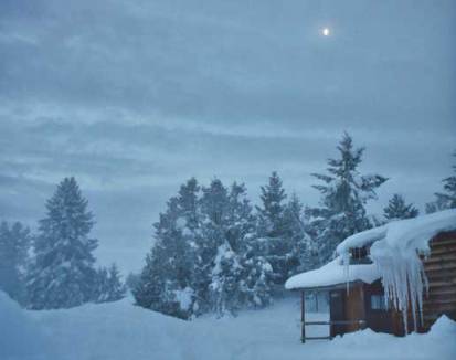 Snow falling