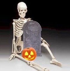 Skeleton