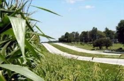 Corn by road