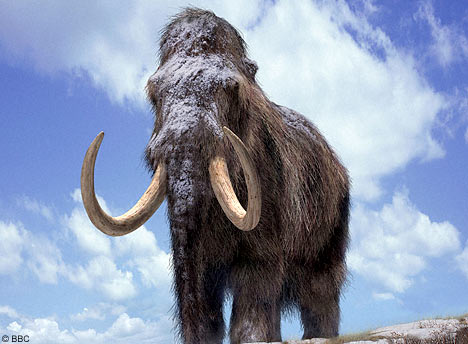 Woolley Mammoth