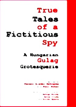Fictitious Spy