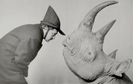 Rhino