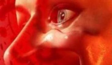 Blood War