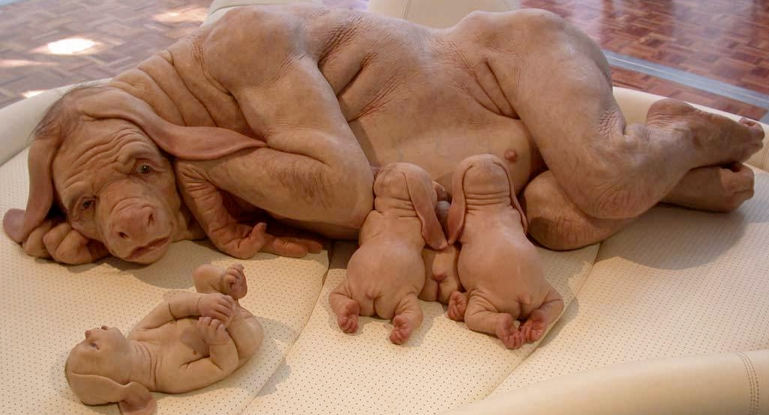 Brood