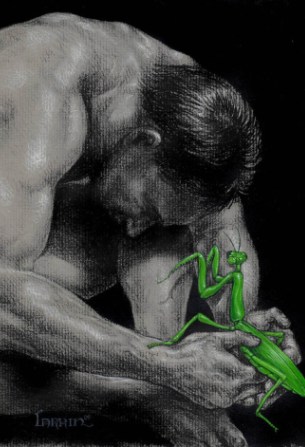 Of Man and Mantis