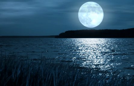 moon