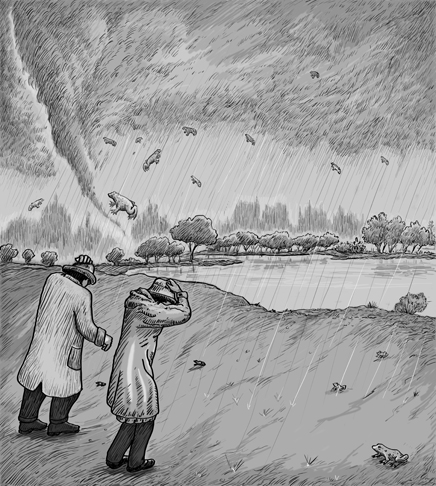 Raining Frogs