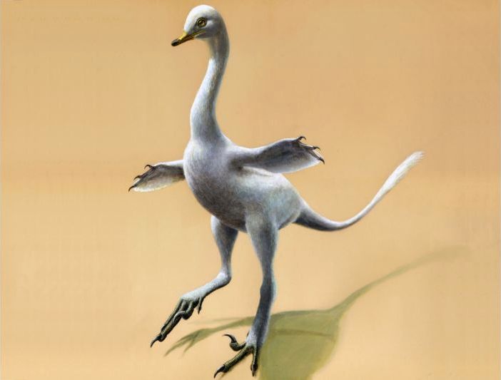 New Dinosaur