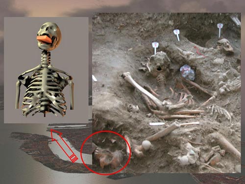 Where it was found