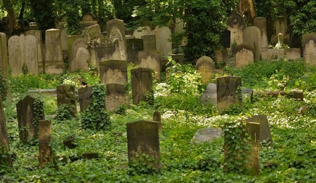 Old Graveyard